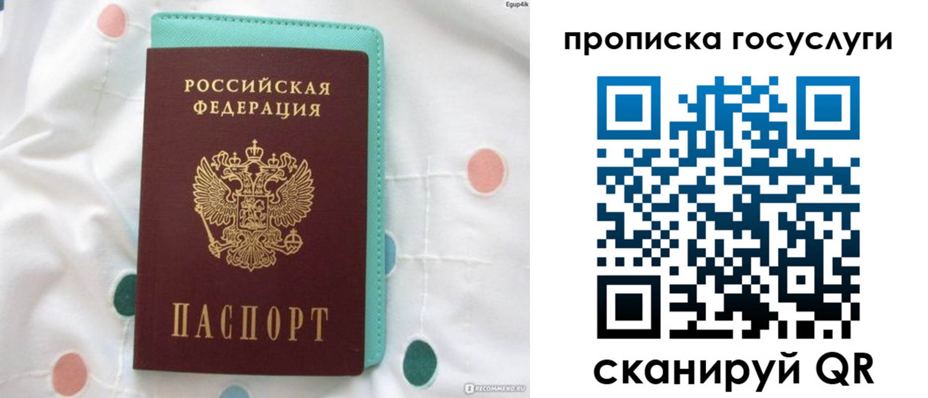 прописка поиск в Шарыпово